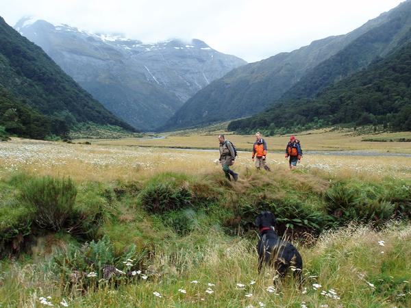 LandSAR volunteers in action